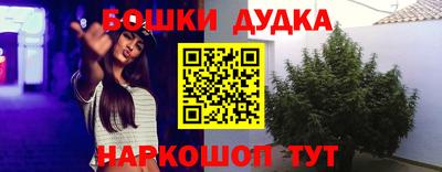 крисы Краснознаменск
