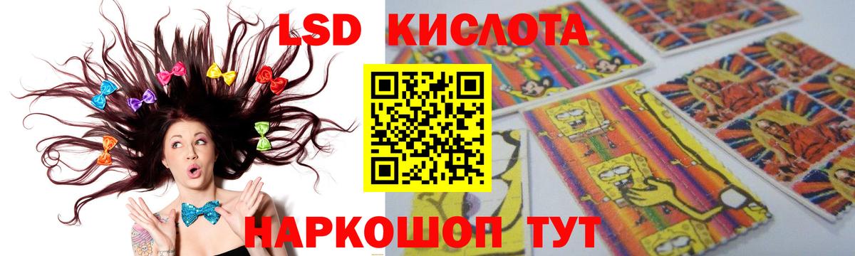 Псилоцибиновые грибы Красноармейск