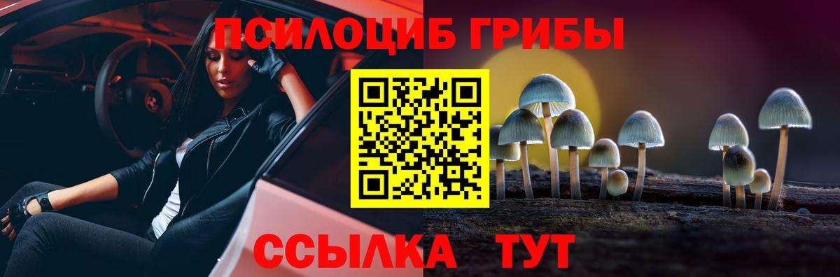 Галлюциногенные грибы GOLDEN TEACHER  Вход с VPN  Псилоцибиновые грибы ЛСД  Красноармейск 