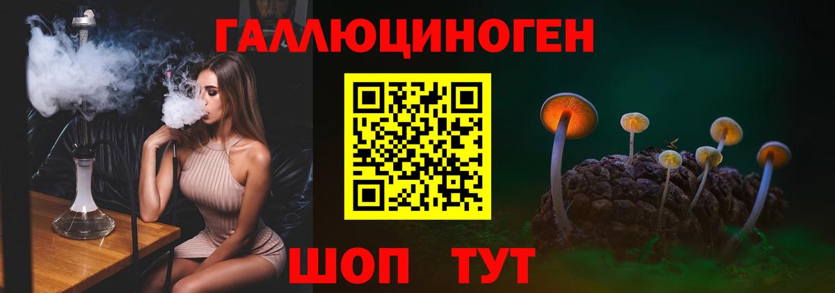 Псилоцибиновые грибы Cubensis Красноармейск